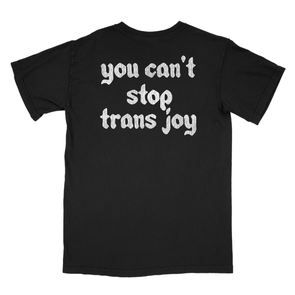 You Can't Stop Trans Joy