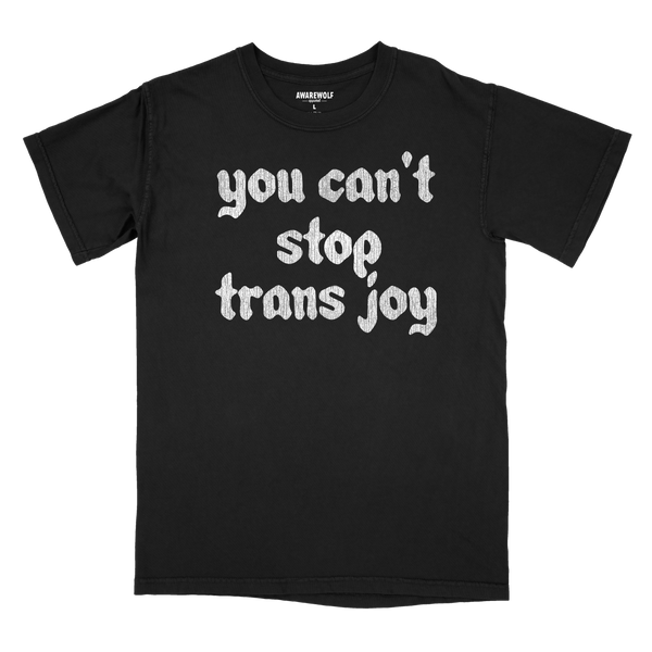 You Can't Stop Trans Joy